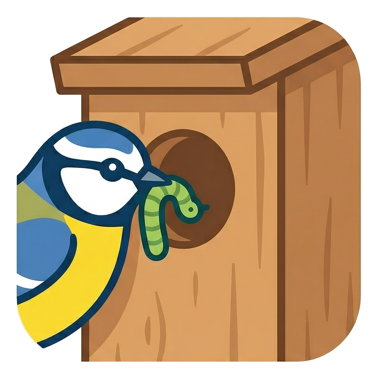 Bird Box Streamers Logo